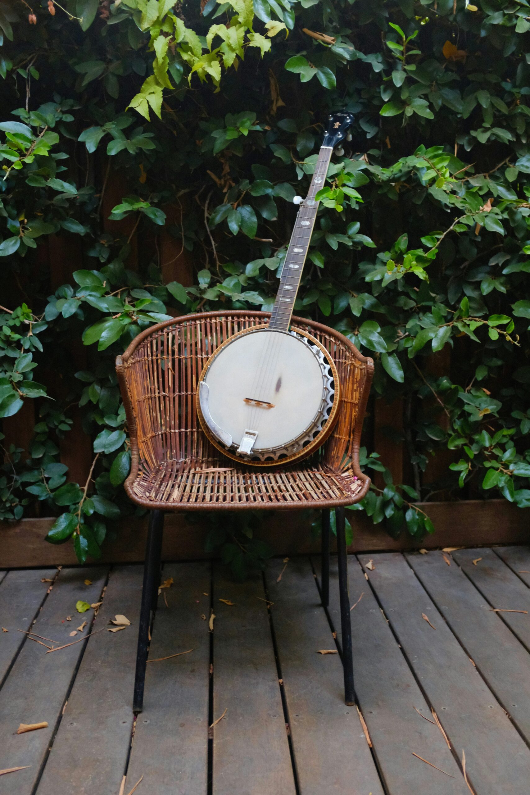 Read more about the article Folk Music of West Virginia